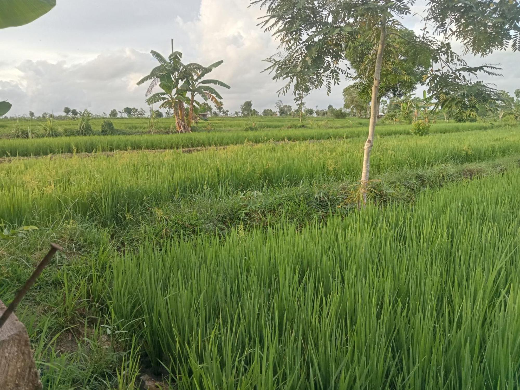 Bulan Homestay Plambi Esterno foto