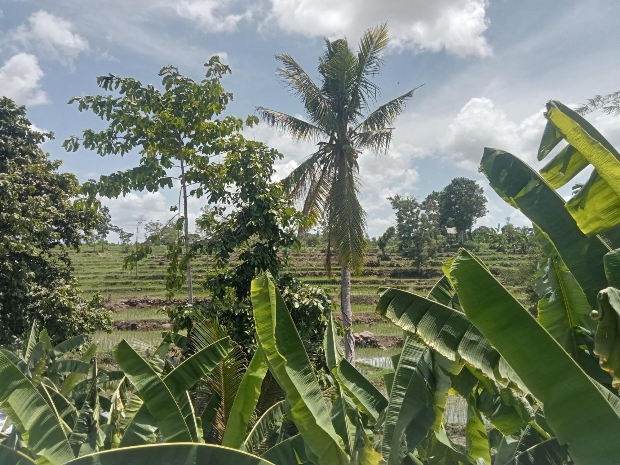 Bulan Homestay Plambi Esterno foto