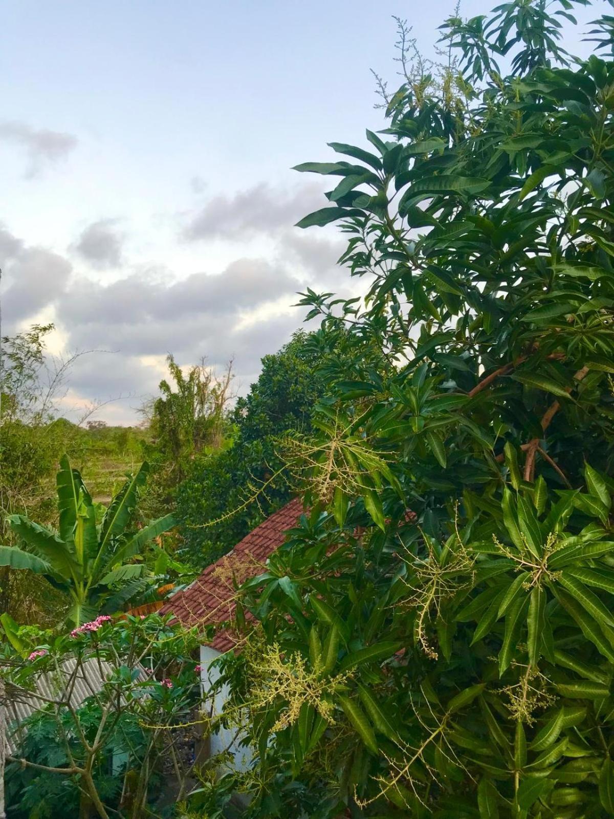 Bulan Homestay Plambi Esterno foto