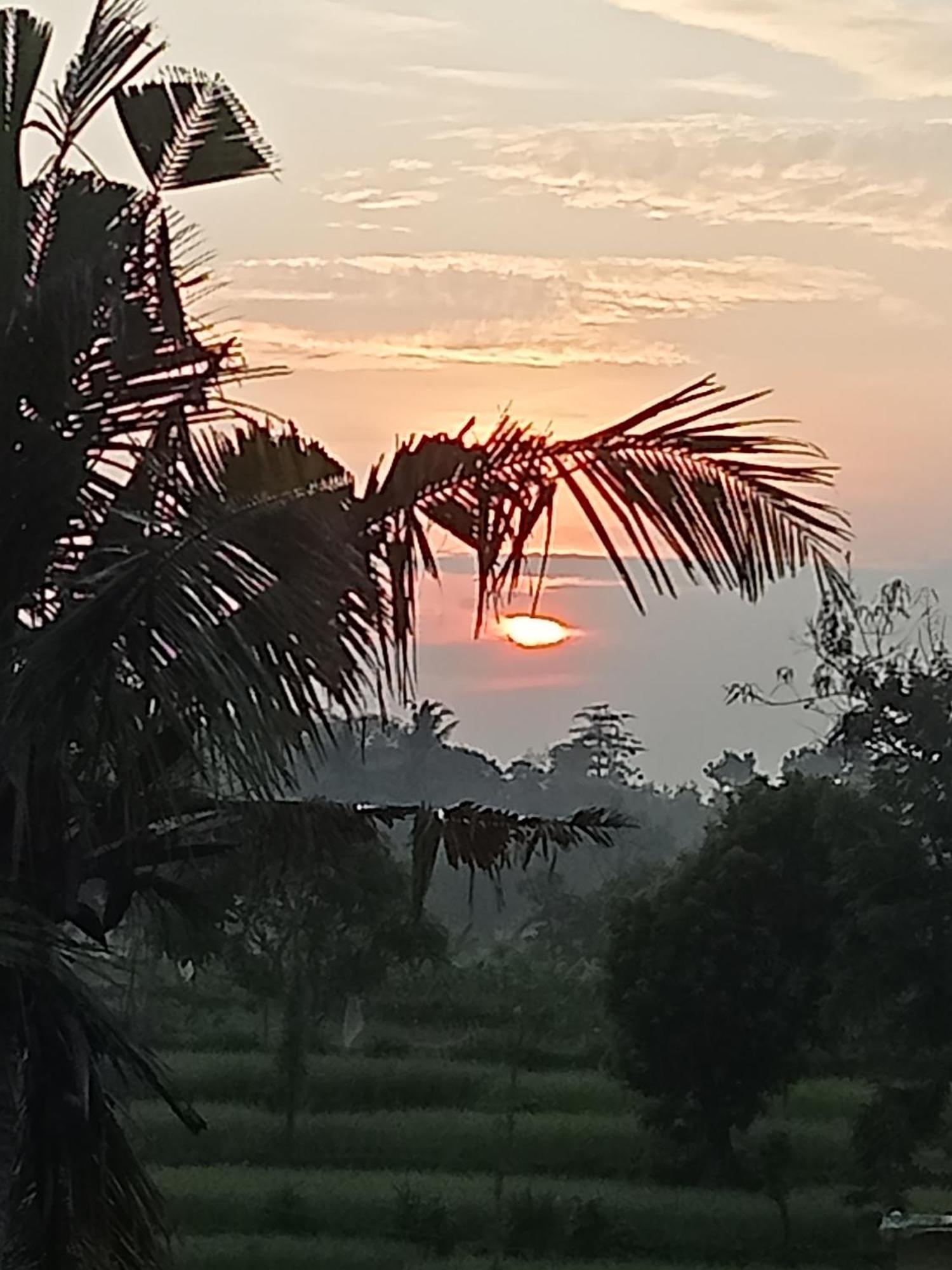 Bulan Homestay Plambi Esterno foto