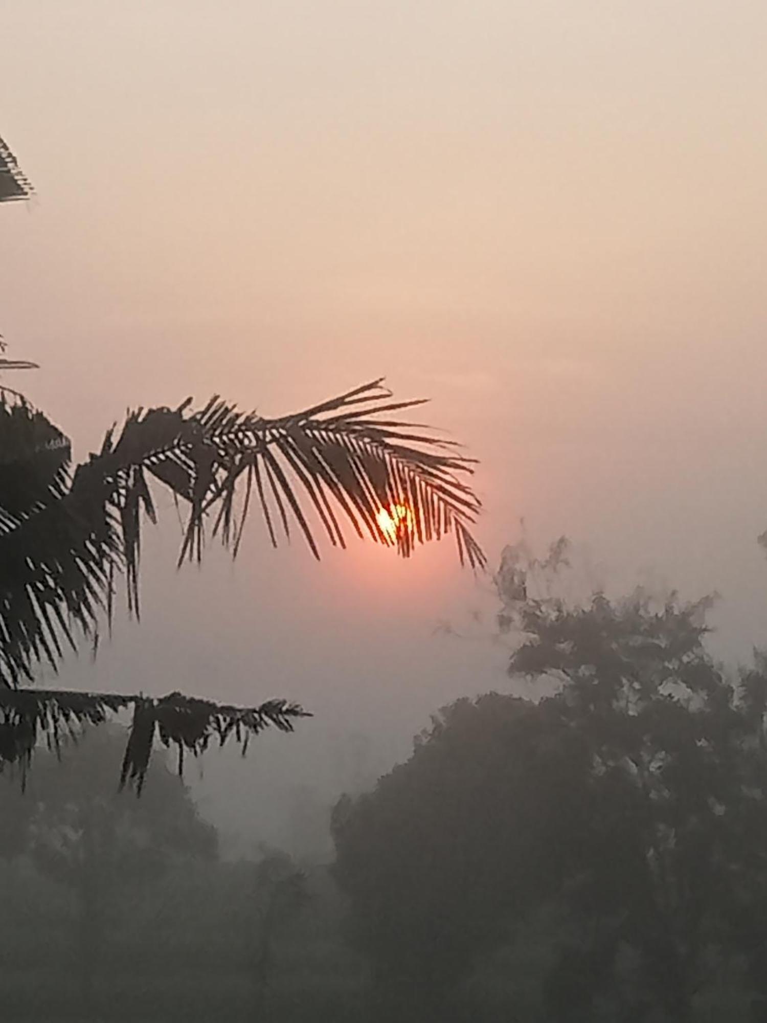 Bulan Homestay Plambi Camera foto